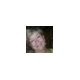 Beverly Barnhardt