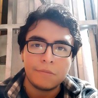 Fernando Menis Rojas