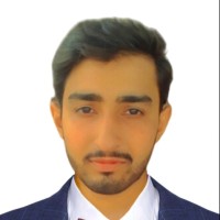 Hamza Shafique