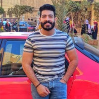 Hesham El-Tawel