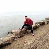 刘桂书