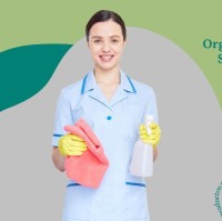 Clear Vision Cleaners