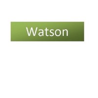 Watson Maintenance