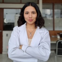 Dulce Villanueva Salvatierra