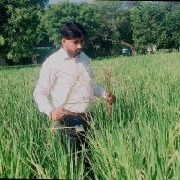 Suneel Kumar
