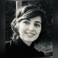 Negin Monajemi