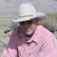 Hal Hawkins