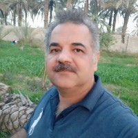 Ramin Fakhri