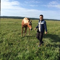 王家才