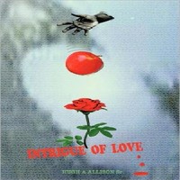 Author Hugh Allison Sr.