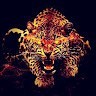 Sahil Rawat