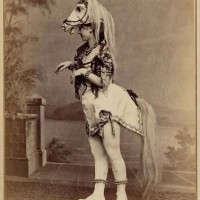 Corinna S.