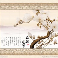 赵雄雄