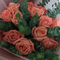 杨振宇