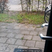 Treffers Rengert