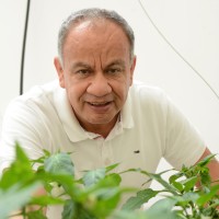 Jesus Mendez
