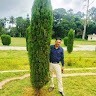Dayananda Sn