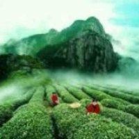 刘合信