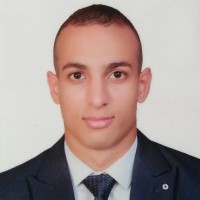 Eslam Elsayed Amer