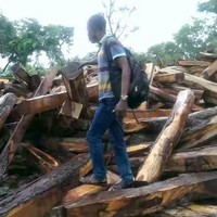 Evans Chima