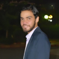 Hesham A.Fouad