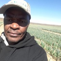 Ndungunjuguna Njuguna