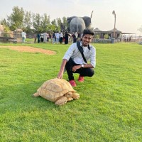 Dinesh Pandiselvam