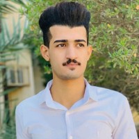 حسن محمود
