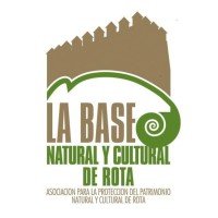 Bncr Patrimonio Roteño