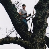 Vinnie Siebert