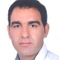 Mohammad Hossein Ansari