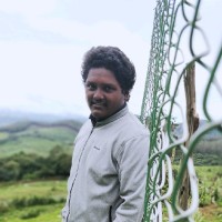 Srinandan R