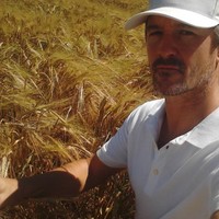 Ignacio Dorado