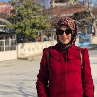 Zehra ÇELİK