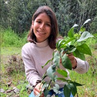 Basthy Paredes Izquierdo