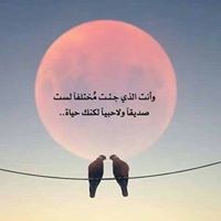 أمل العوضي