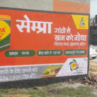 Wallads Branding Solutions