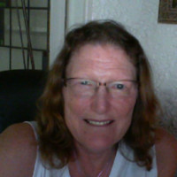 Lisa Amos