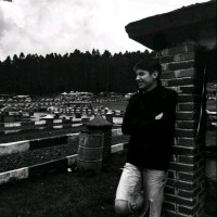 Alanemerth Null