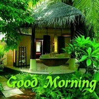 Pradeep Gurao