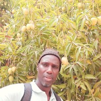 Moussa Fall Fall