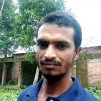 MDMANIk Hossain