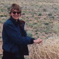 Anne Lambert