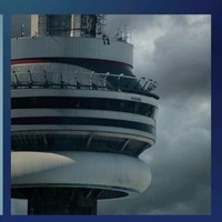 off all bad animals conway courts banks