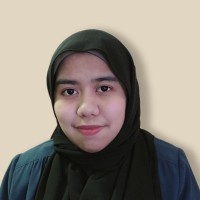 Nur Anis Amni