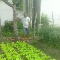 Severino Alves