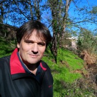 Jesús Pernas Canadell