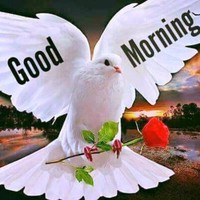 Vinod Avahad