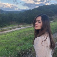 Nguyen Ha