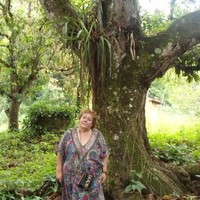 MARIA ANGELICA COLLAO COLL